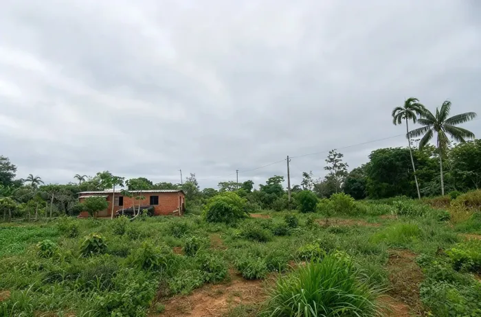CHÁCARA 8 HECTARES | Café em Produção + Casa + Documentação Completa Senador Guiomard