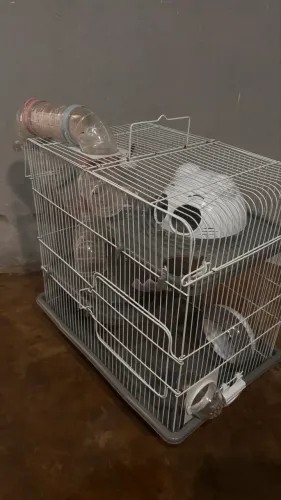 Gaiola Completa Para Hamster