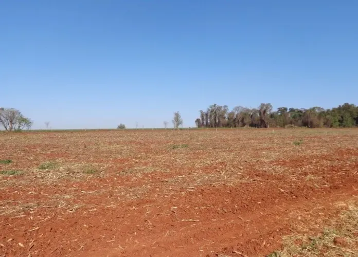 Vende-se Terrenos para Chácara 1000 m2