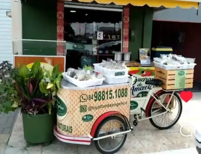 Bicicleta