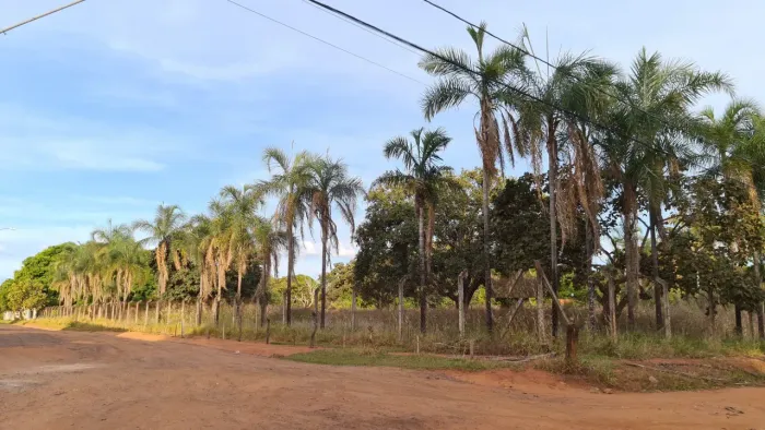Chácaras Panorama, Chácara de Esquina com 5000m², próximo da Avenida Aldo Borges Leão