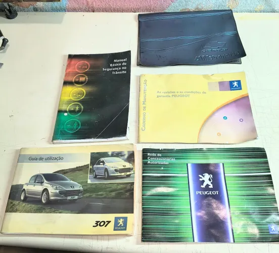 Manual do proprietário completo Peugeot 307