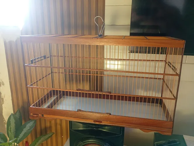 Animais de estimação