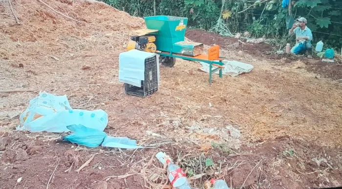 VENDO SILAGEM DE BRS CAPIAÇU E MILHO ENSACADO A PRONTA ENTREGA 