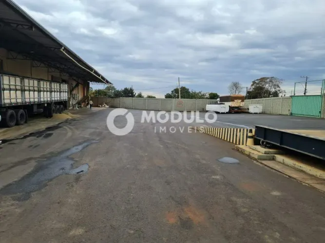 Galpão/Depósito/Barracão à venda, 14 vagas, AMORIM - Araguari/MG