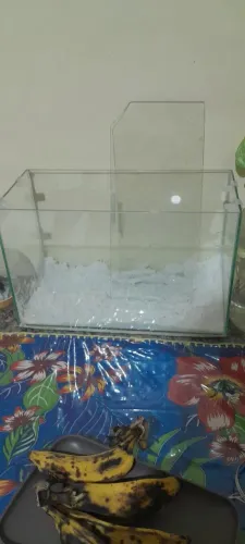 Aquário de 3L