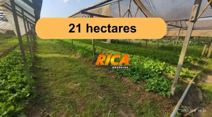 Sítio à venda, 210000 m² por R$ 6.300.000,00 - Área Rural de Porto Velho - Porto Velho/RO