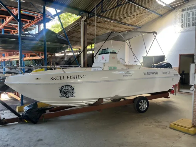 Vendo Lancha Fish Sea Crest 215
