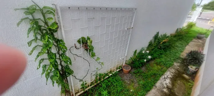 Portão