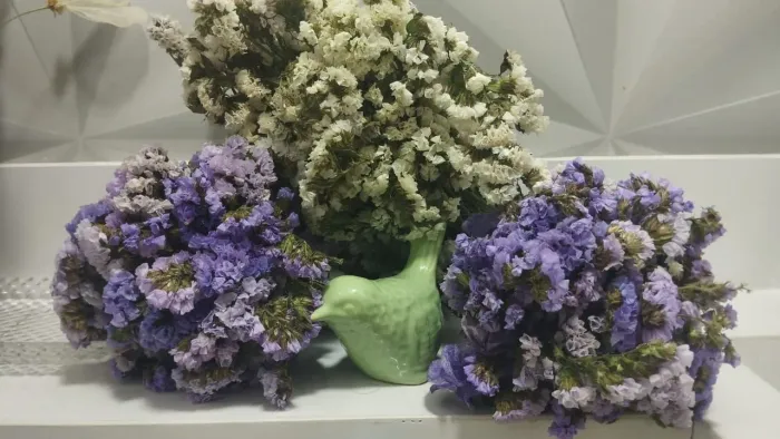 Flores estatice sempre-viva