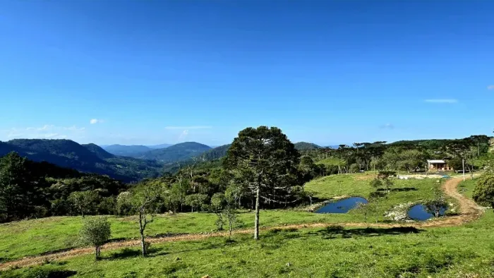 Sítio de Altitude, com linda vista das Montanha