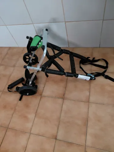 Cadeira para pet