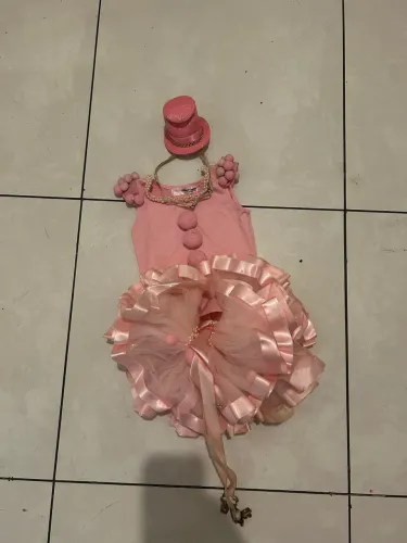 FANTASIA CIRCO ROSA 1 ano