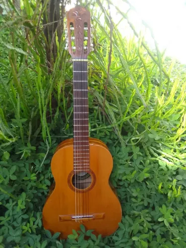 Violão Di Giorgio Signorina ótimo regulado pequeno reparo base do tampo Bairro Ouro Preto