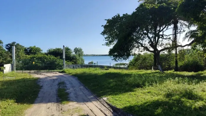 Área para viveiro de camarão