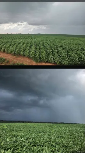 Fazenda próximo a campina verde 