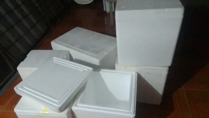 Caixas de isopor novas