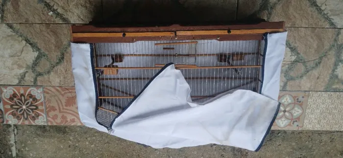 Voador de bicudo e curió com capa