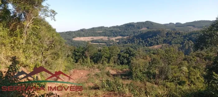 AREA RURAL em Nova Petrópolis - RS, Canto Maas