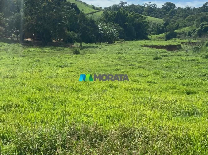 FAZENDA À VENDA - 135 HECTARES - RIO CASCA (MG)