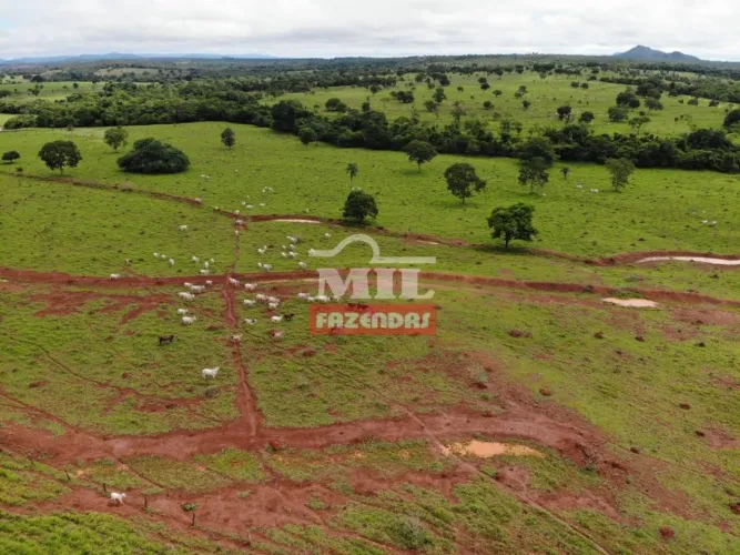 Fazenda em Barro Alto-GO. . 167 Alq. (808 Há)