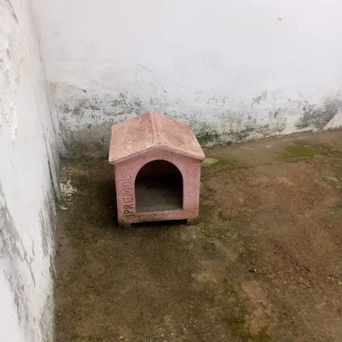 Casa de cachorro média cimento 
