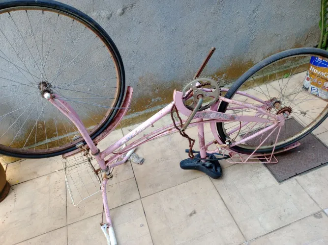 Ceci rosa.originsl