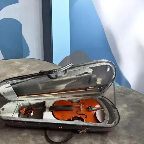 Violino 4/4