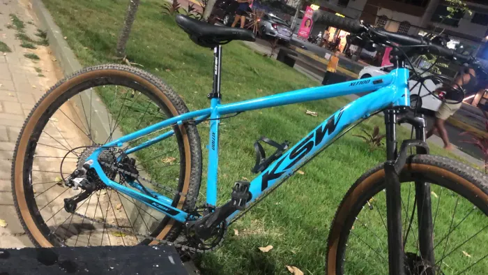 Bicicleta 29