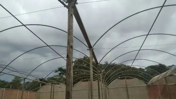 VENDO 4 ESTRUTURAS METÁLICAS DE ESTUFA DE HIDROPONIA SEMI NOVAS NA CHAPA 18 POR R$ 20.000.