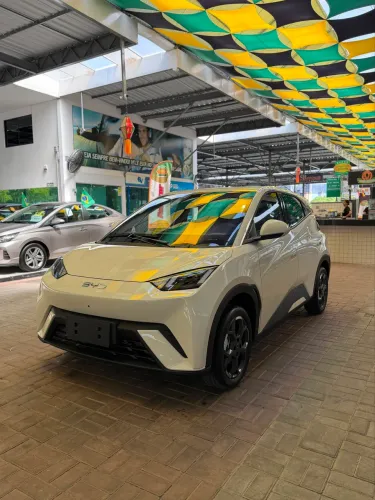BYD Dolphin Mini (Elétrico) 2027