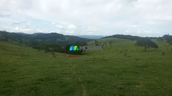 FAZENDA À VENDA - 125 HECTARES - CARMO DO CAJURU (MG)