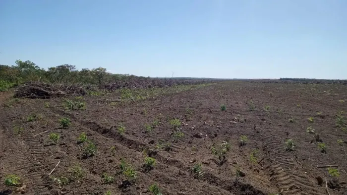 Fazenda à Venda Santa Rita do Tocantins/TO