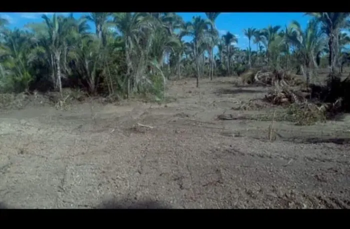 Terreno e casa no interior ligar para *20