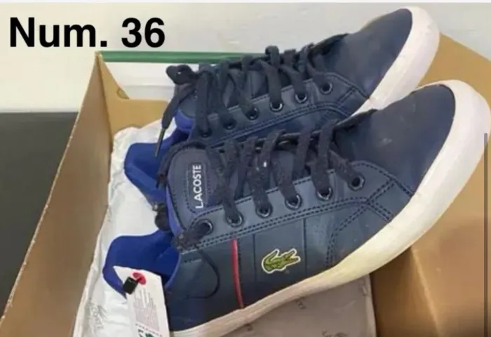 Sapatênis Lacoste seminovo Num. 36