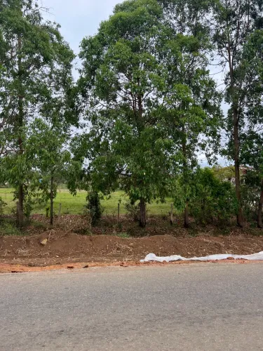 Terreno 1000m2 na beira da pista Barra / Conquista