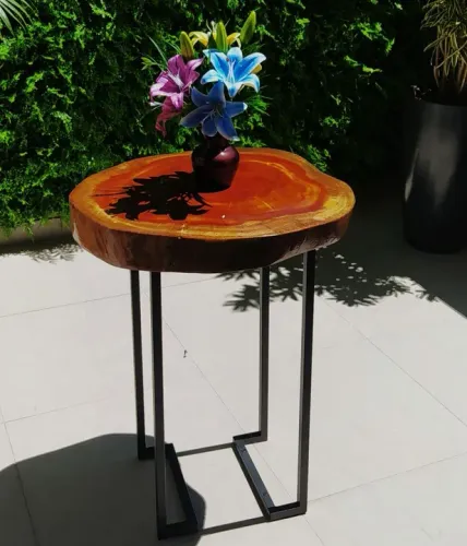 LINDÍSSIMA MESA DE TRONCO!!!!
