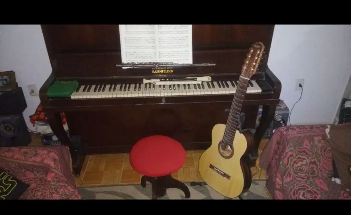 Aulas de instrumentos musicais, canto e atendimento em musicoterapia.