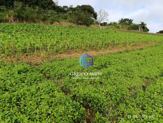 Terreno à venda, 1000 m² por R$ 130.000 - Ortizes - Piedade/São Paulo