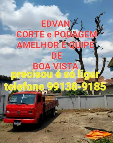 Edvan corte e podagem de árvore