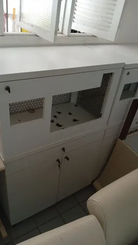 Vendo armário de organização para escritório