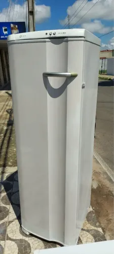 Vendo freezer vertical Electrolux garantia de 3 meses 1.400