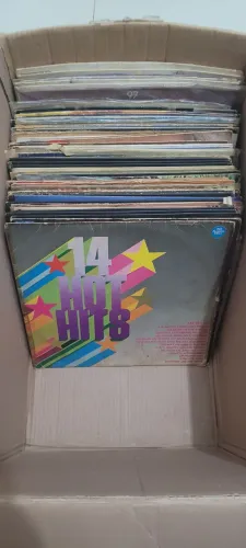 Lote discos de vinil