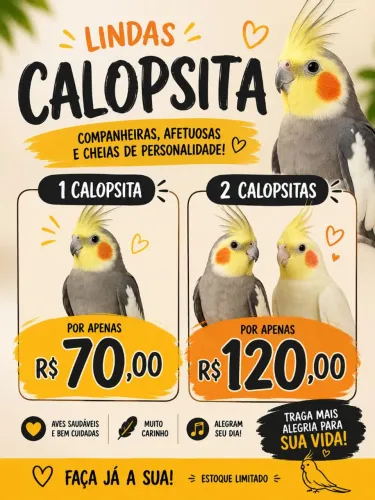 Só tenho três disponíveis 
