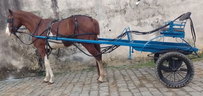 Charrete
