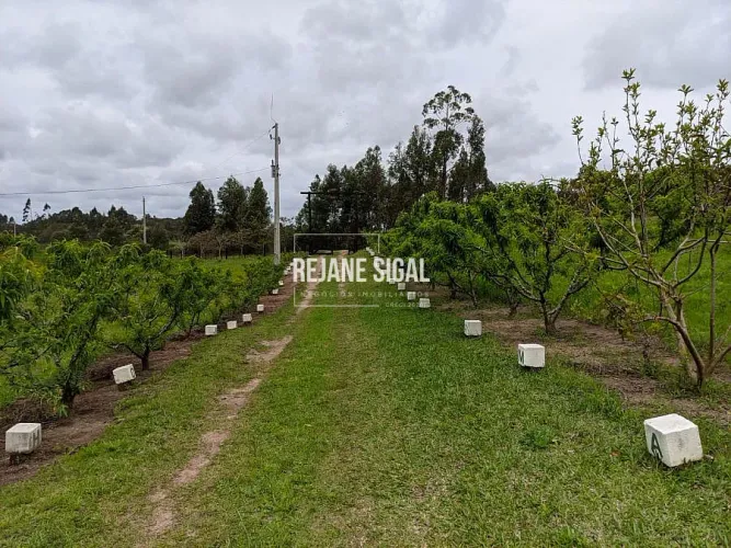 Sítio Rancho Mate Amargo Próximo de Canguçu/RS