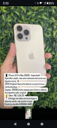 iPhone 13 Pro Max 256 GB 
