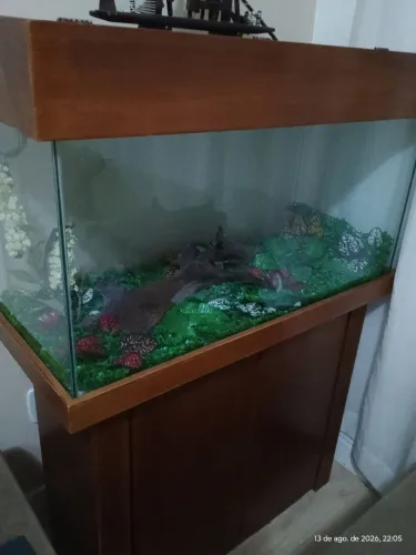 Aquário 200 litros