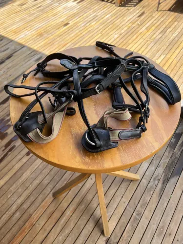 Hipismo- acessórios para montaria cavalo