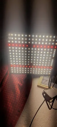 Quantum board LM281B